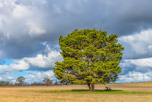 Clouds and a Winter sky over rural land