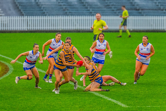 Rd 8 WPD - UNSW-ES v Sydney Uni - 1 June 2024