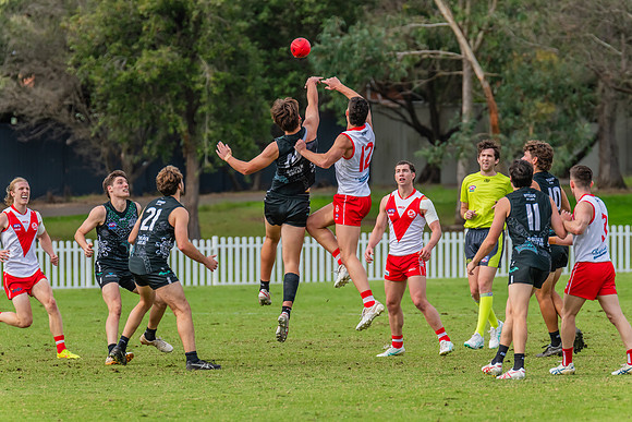 Rd 7 MPD - St George v UTS - 25 May 2024