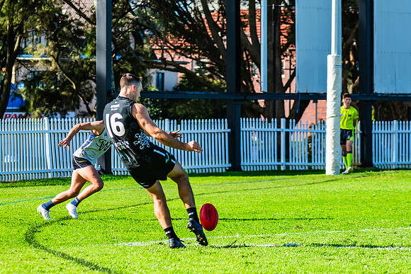Rd 8 MPD - UTS v SWS - 31 May 2025
