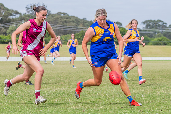 WPD Qualifying Final 2 - East Coast v Manly Warringah - 7 Septem