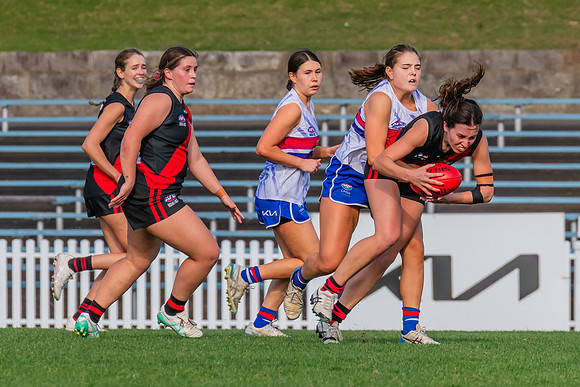 Rd 16 WPD - UNSW-ES v North Shore - 10 August 2024