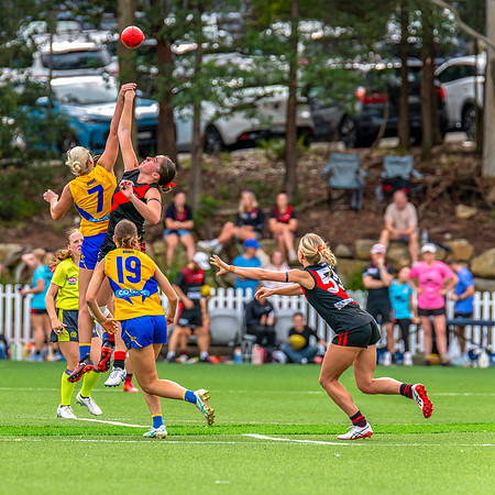 Rd 4 WPD - North Shore v East Coast - 26 April 2025