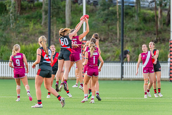 Rd 1 WPD - North Shore v Manly Warringah - 8 June 2024