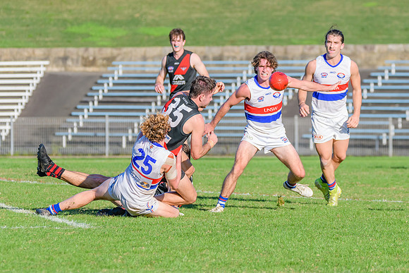 Rd 6 MPD - UNSW ES v North Shore - 14 May 2022