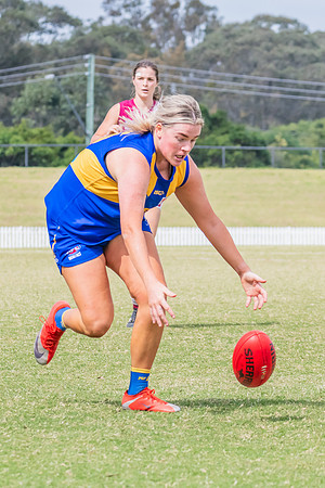 WPD Qualifying Final 2 - East Coast v Manly Warringah - 7 Septem