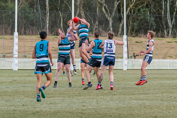 Platinum Div Preliminary Final - Southern Power v Camden Cats -