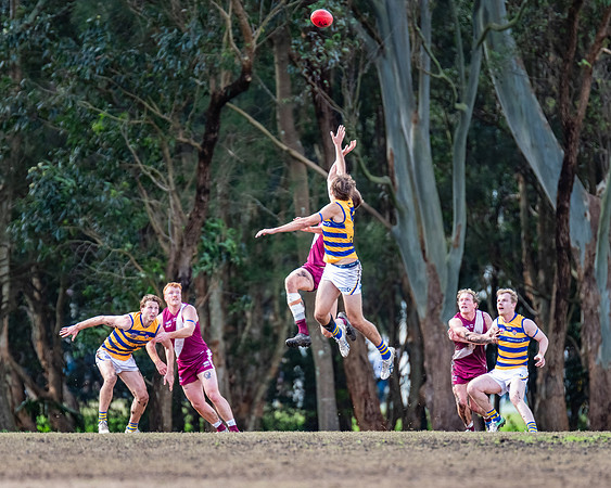 Rd 17 MPD - Manly Warringah v Sydney Uni - 16 August 2025