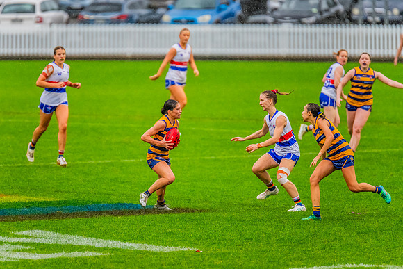 Rd 8 WPD - UNSW-ES v Sydney Uni - 1 June 2024