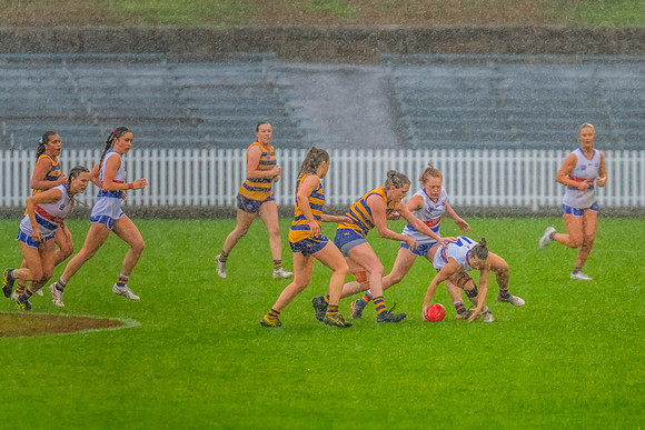 Rd 8 WPD - UNSW-ES v Sydney Uni - 1 June 2024