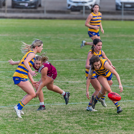 WPD Qualifying Final - Manly Warringah v  Sydney University - 7