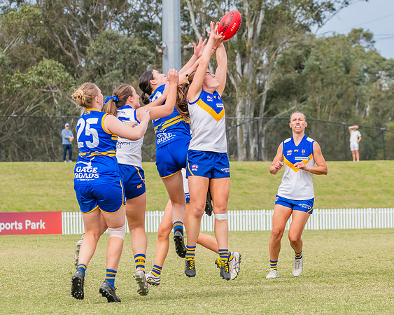 WPD Semi Final - Parramatta v Sydney Uni - 8 September 2024