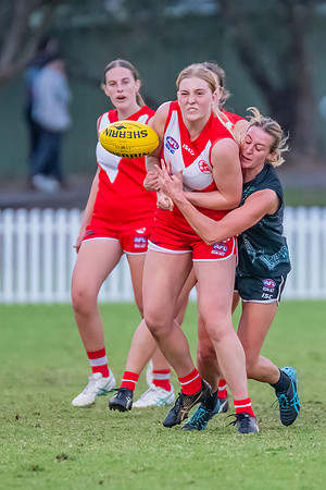 Rd 7 WPD - St George v UTS - 25 May 2024