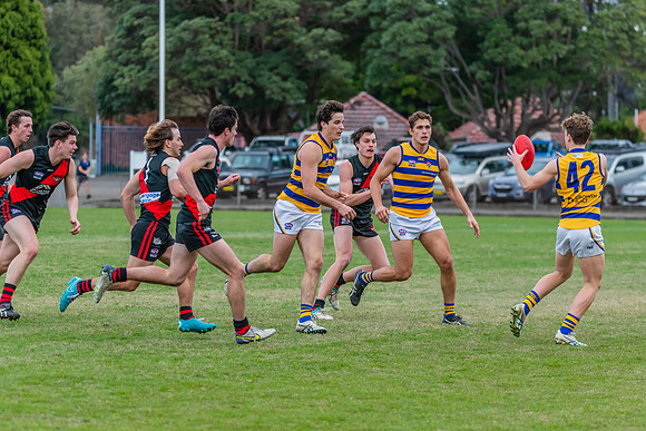 MPD Qualifying Final - North Shore v Sydney University - 20 Augu