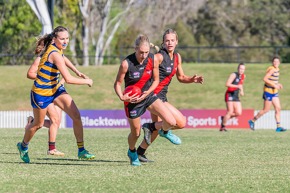 WPD Elimination Final - North Shore v Sydney Uni - 1 September 2