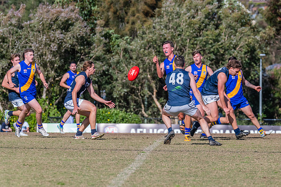 Black Diamond Plate Men's Nelson Bay v Newcastle City - 17 Septe