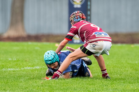 Rd 4 Bloomfield Tigers U13s v Blayney U13s - 24 May 2025