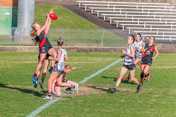 WPD Elimination Final - North Shore v Inner West - 7 August 2022