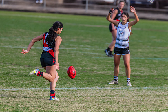 WPD Elimination Final - North Shore v Inner West - 7 August 2022