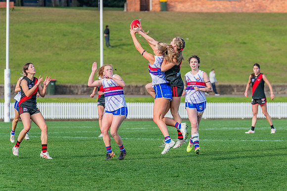 Rd 16 WPD - UNSW-ES v North Shore - 10 August 2024