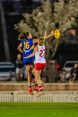 Rd 17 WPD - East Coast v St George - 17 August 2024