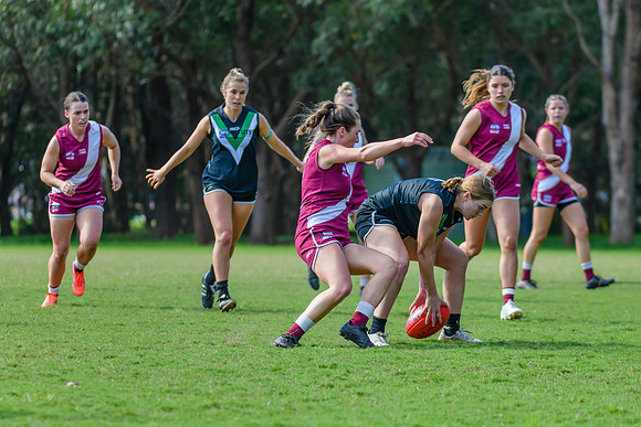 Rd 5 WPD - Manly Warringah v UTS - 7 May 2022