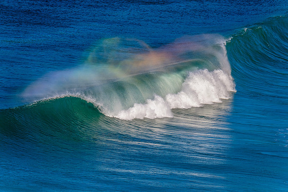 Waves at Whale Beach