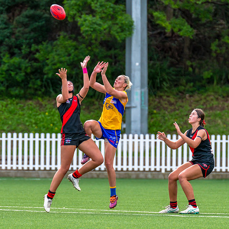 Rd 4 WPD - North Shore v East Coast - 26 April 2025