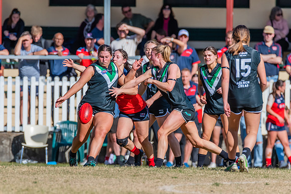 Rd 11 WPD - UTS v Pennant Hills - 25 June 2022