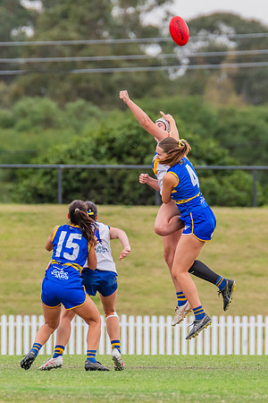 WPD Semi Final - Parramatta v Sydney Uni - 8 September 2024