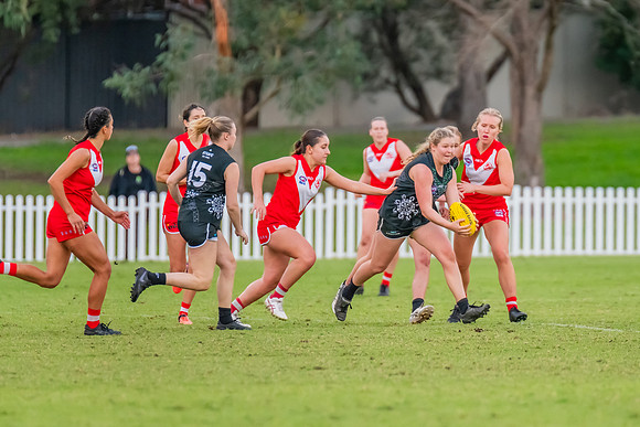 Rd 7 WPD - St George v UTS - 25 May 2024
