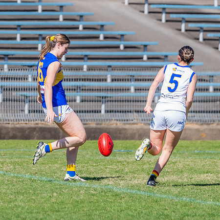 WPD Preliminary Final - East Coast v Sydney University - 21 Augu