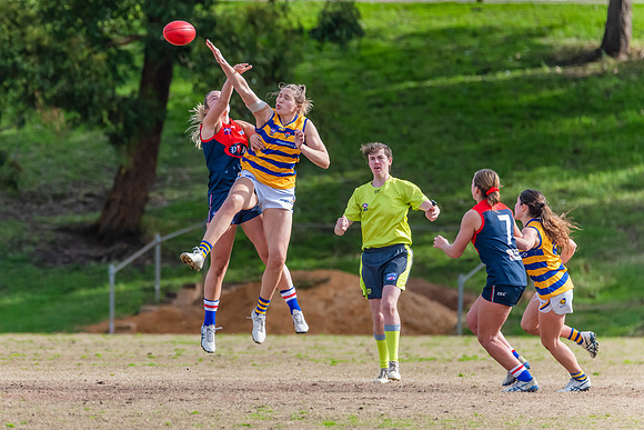 Rd 14 WPD - Pennant Hills v Sydney Uni - 16 July 2022