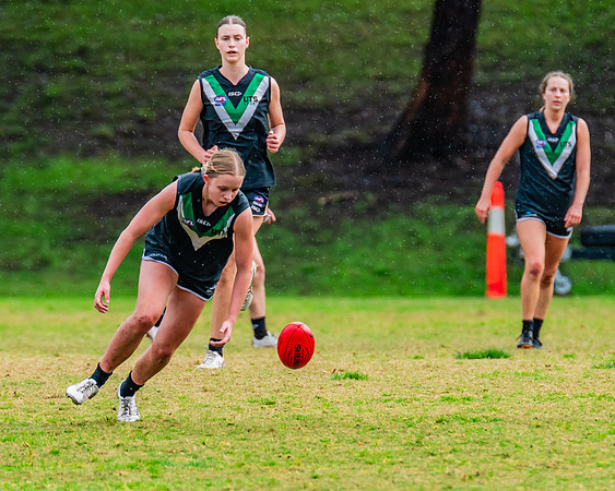 Rd 6 WPD - UTS v Pennant Hills - 11 May 2024