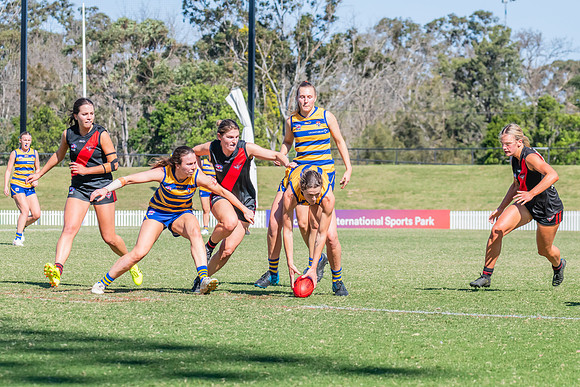 WPD Elimination Final - North Shore v Sydney Uni - 1 September 2