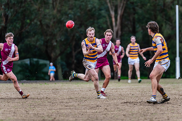 Rd 17 MPD - Manly Warringah v Sydney Uni - 16 August 2025