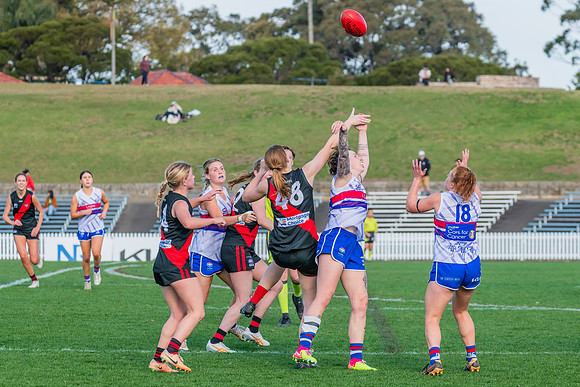 Rd 16 WPD - UNSW-ES v North Shore - 10 August 2024