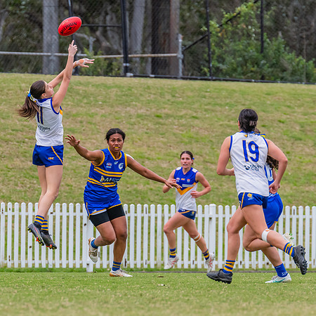 WPD Semi Final - Parramatta v Sydney Uni - 8 September 2024