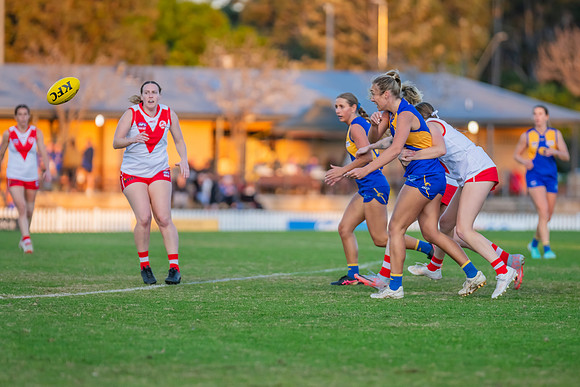Rd 17 WPD - East Coast v St George - 17 August 2024