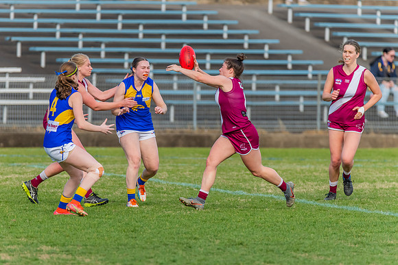WPD Major Semi Final - East Coast v Manly Warringah - 14 August 2022