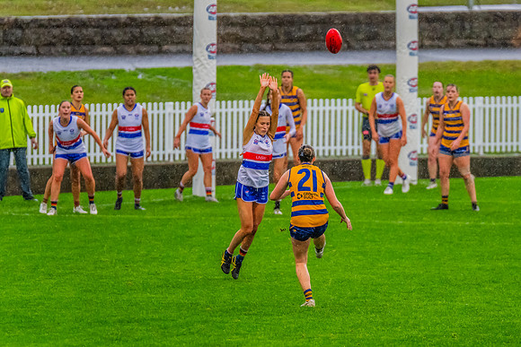 Rd 8 WPD - UNSW-ES v Sydney Uni - 1 June 2024