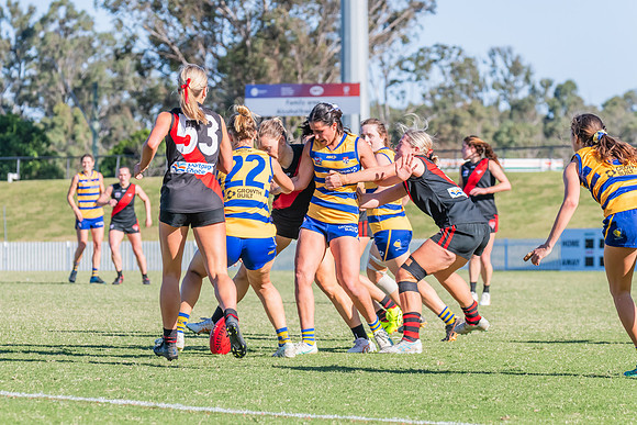 WPD Elimination Final - North Shore v Sydney Uni - 1 September 2