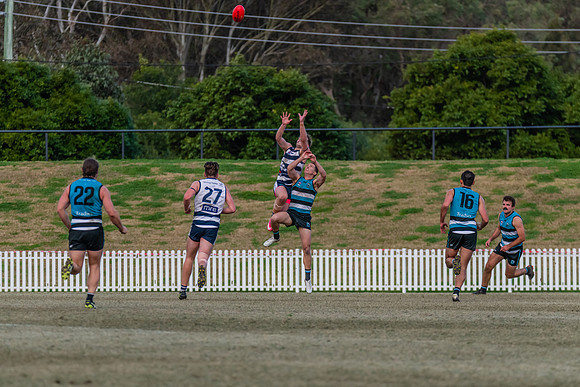 Platinum Div Preliminary Final - Southern Power v Camden Cats -