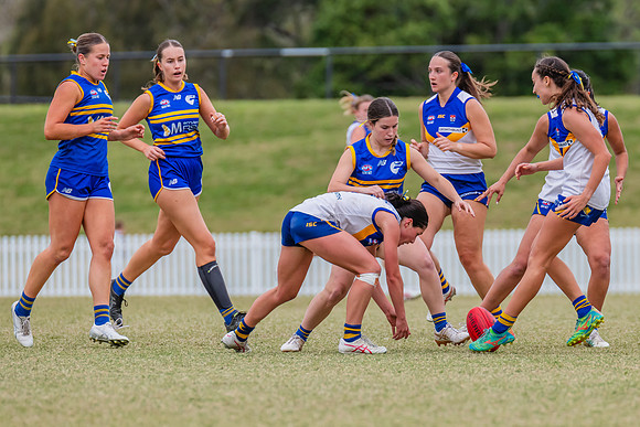 WPD Semi Final - Parramatta v Sydney Uni - 8 September 2024