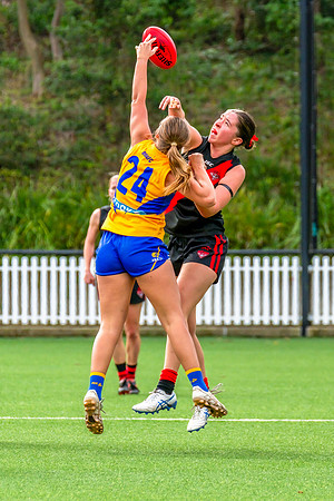 Rd 4 WPD - North Shore v East Coast - 26 April 2025