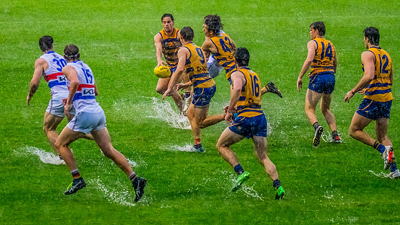 Rd 8 MPD - UNSW-ES v Sydney Uni - 1 June 2024