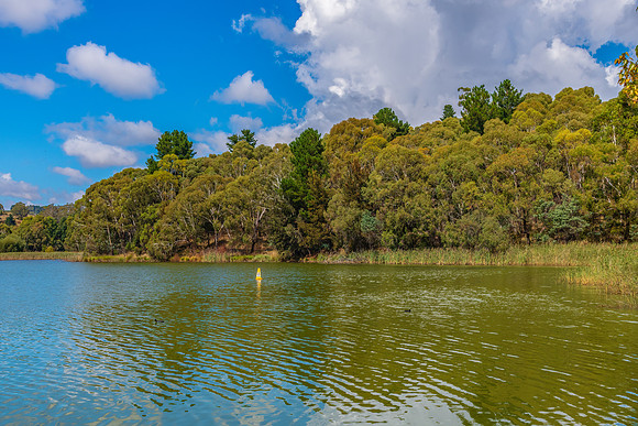Early Autumn at Lake Canobolas
