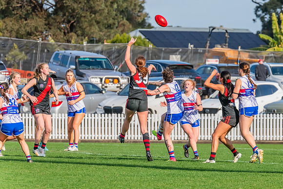 Rd 16 WPD - UNSW-ES v North Shore - 10 August 2024