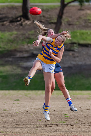 Rd 14 WPD - Pennant Hills v Sydney Uni - 16 July 2022