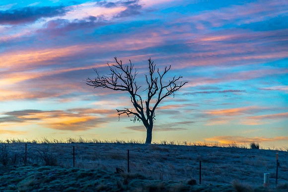 Winter Sunrise over the Australian countryside on the outskirts